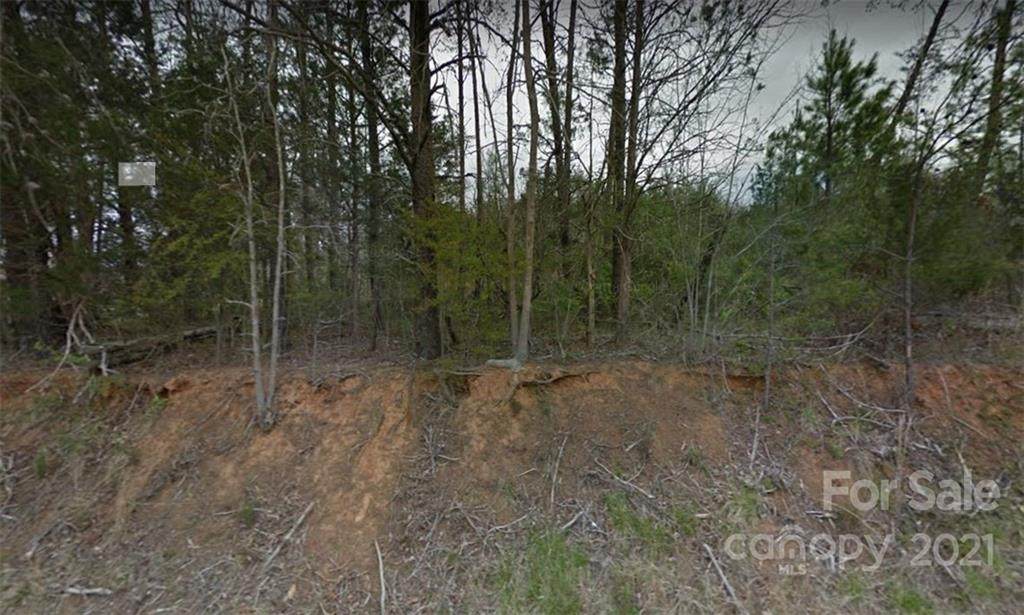 0 Pittman Road - Photo 1