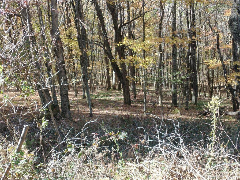 Lot # 479 El Miner Drive - Photo 1