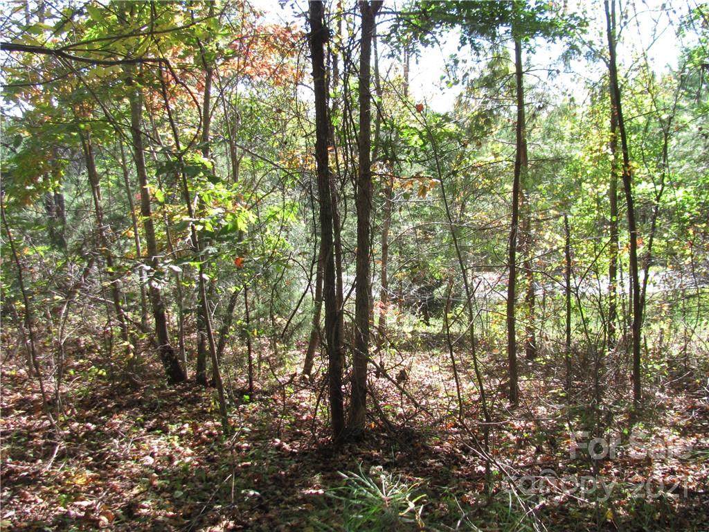 00 Stonecrest Parkway - Photo 1