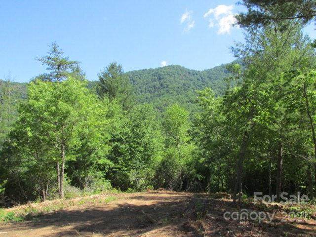 Lot 34 Lavender Way - Photo 1