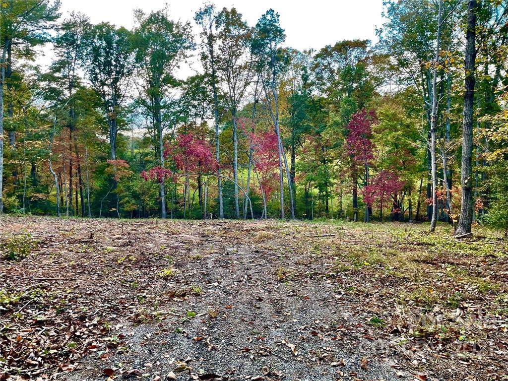 4127 Cook Road Extension - Photo 1
