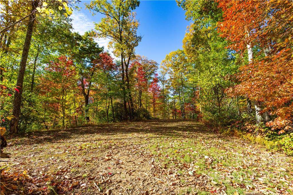 Lot 17 Black Rock Road - Photo 1