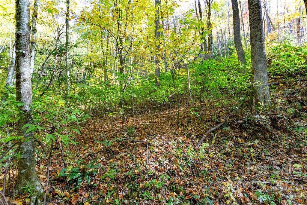 Lot 18 Black Rock Road - Photo 1