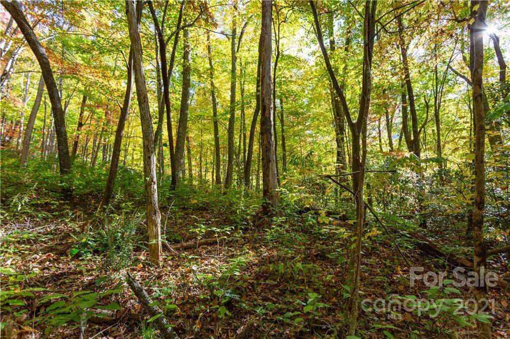 Lot 19 Black Rock Road - Photo 1