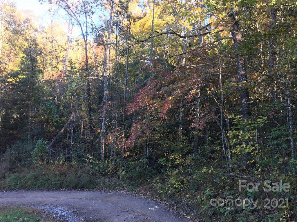0 Franklin Farm Road - Photo 1