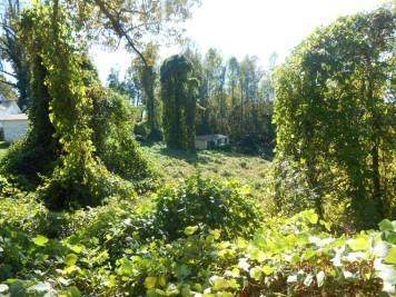 679 Ridge Road - Photo 1