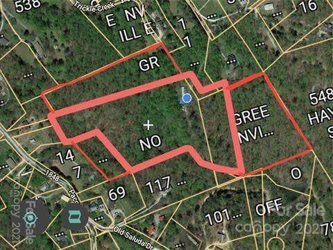 171 Acres Greenville Street - Photo 1