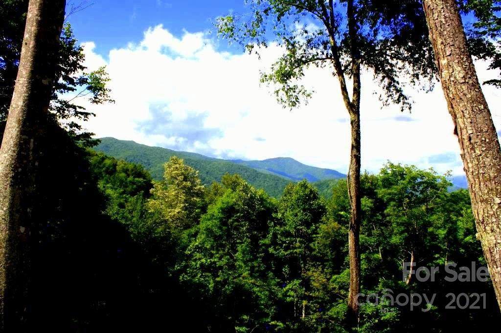 46 Black Bear Run - Photo 1