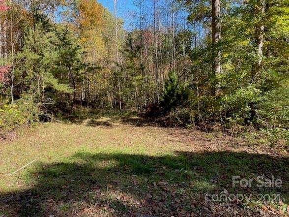 0 William Gilbert Loop - Photo 1