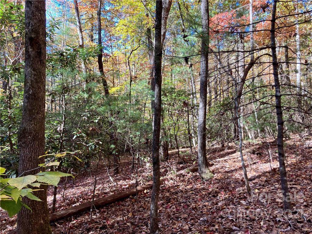 000 Hemlock Ridge Trail - Photo 1