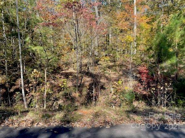 0 William Gilbert Loop - Photo 1