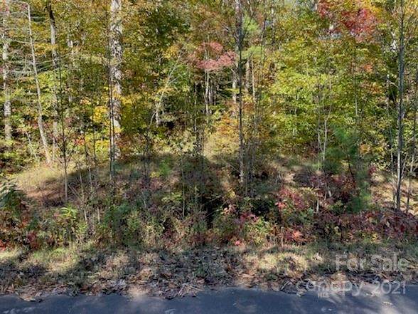 0 William Gilbert Loop - Photo 1