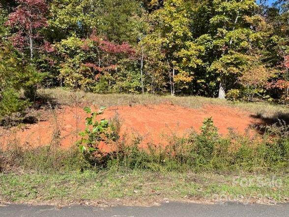 0 William Gilbert Loop - Photo 1