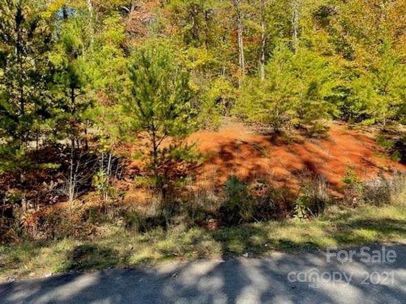 0 William Gilbert Loop - Photo 1