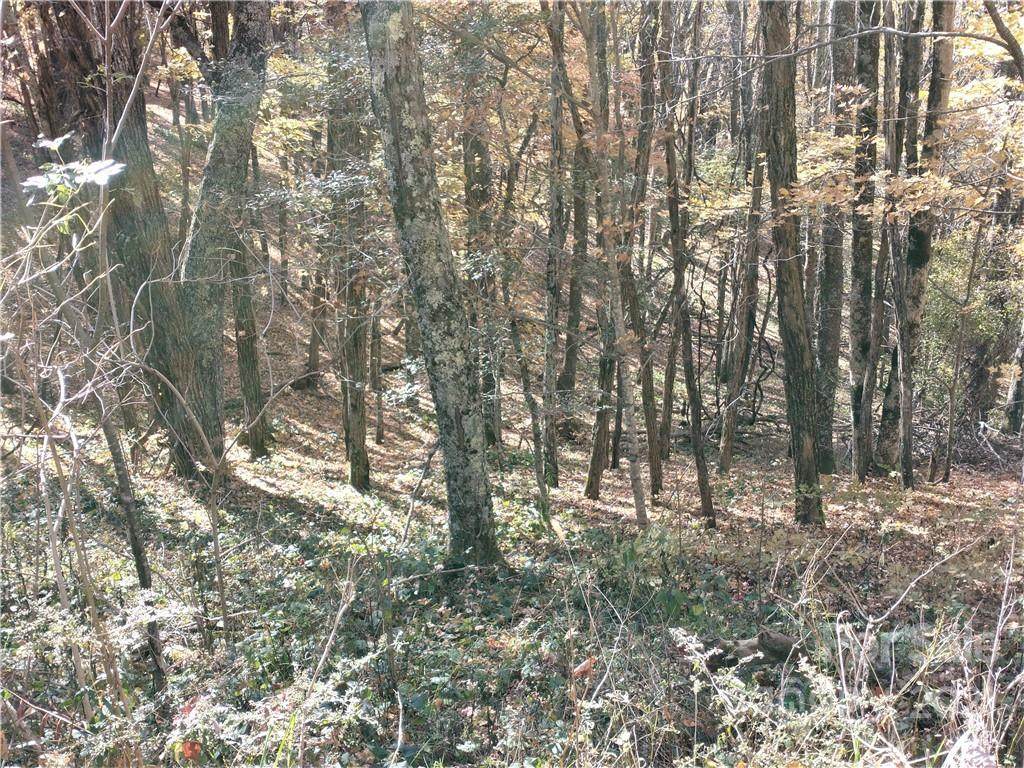 Lots# 480 & 481 El Miner Drive - Photo 1