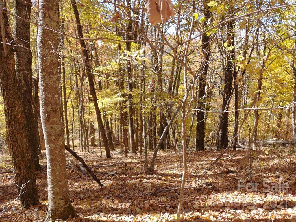 Lot 483 El Miner Drive - Photo 1