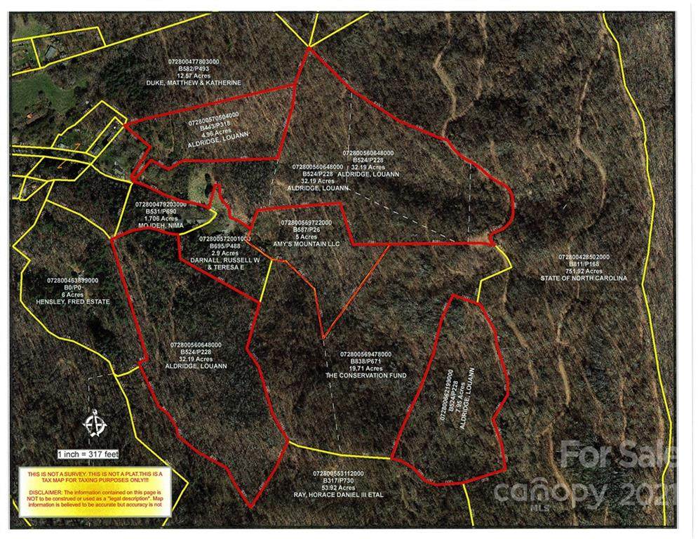 000 Polecat Branch Road - Photo 1