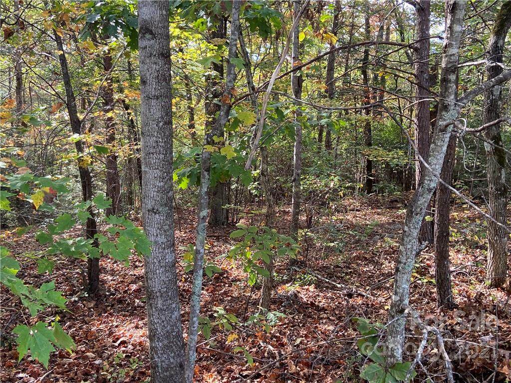 0 Silent Forest Way - Photo 1