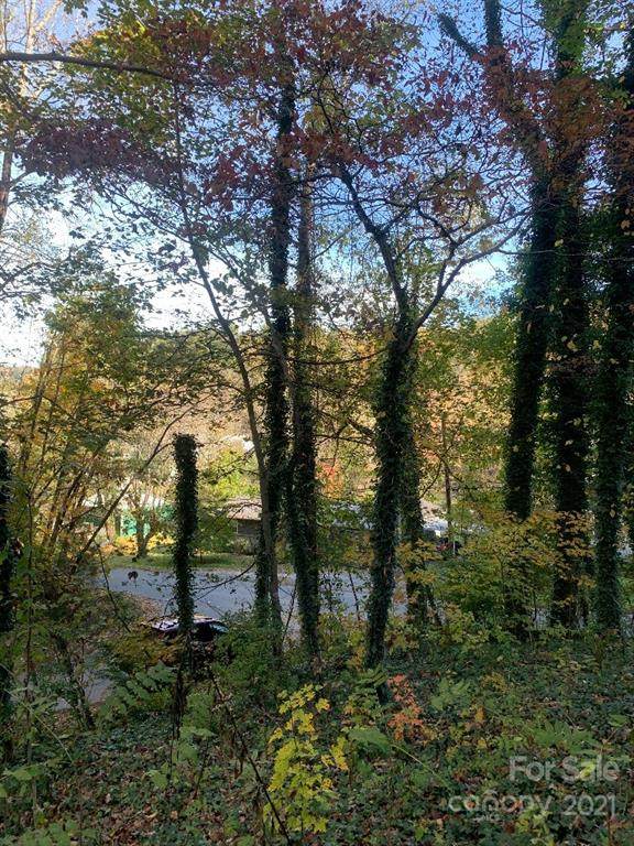 99999 Spooks Branch Extension - Photo 1