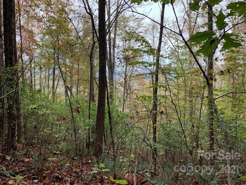 TBD Sapahaw Trail - Photo 1