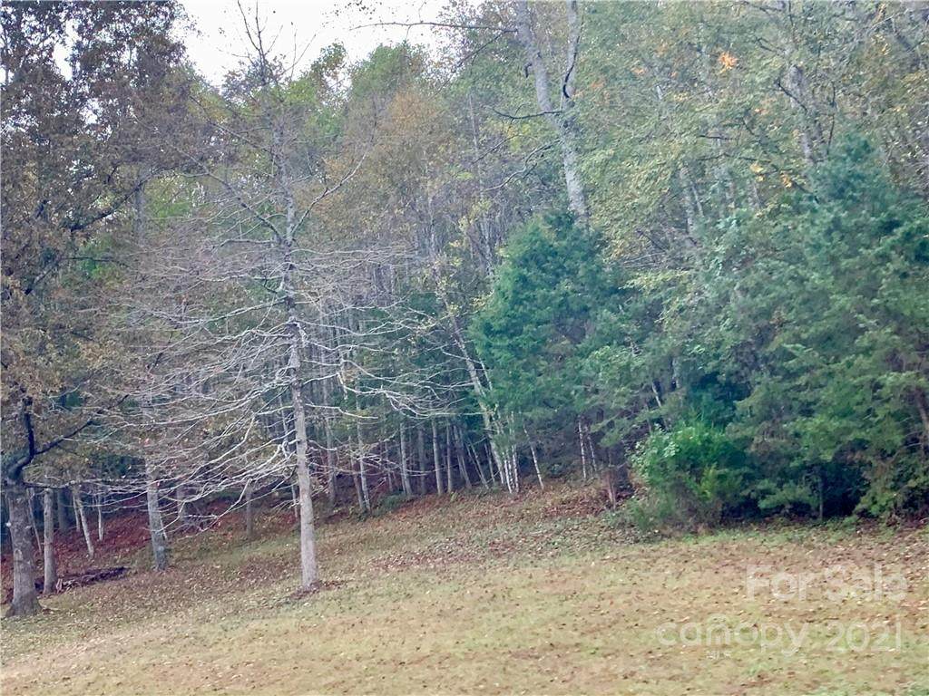 0 Red Cedar Way - Photo 1