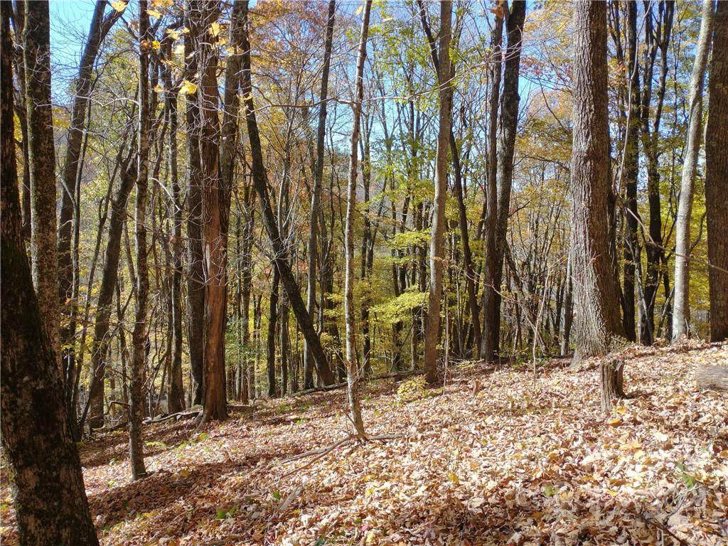 Lots 482 & 483 El Miner Drive - Photo 1