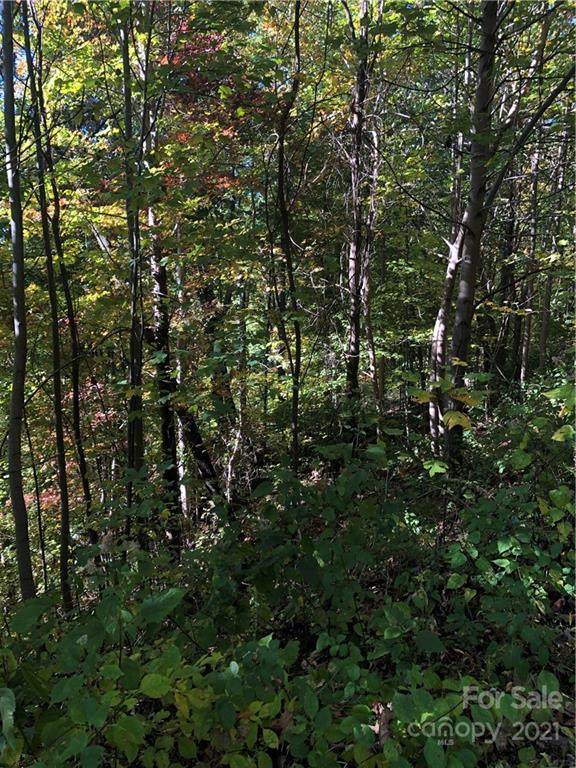 Lot 58 Ragans Pointe - Photo 1