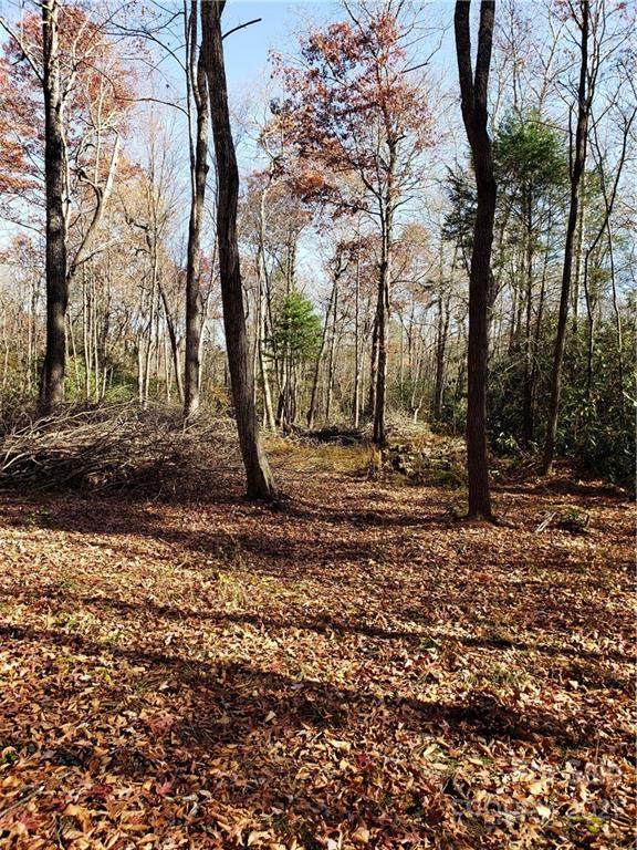 TBD Patton Thicket Road - Photo 1