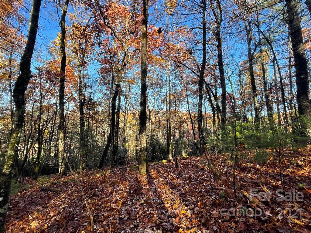 9999 Sassafras Road - Photo 1