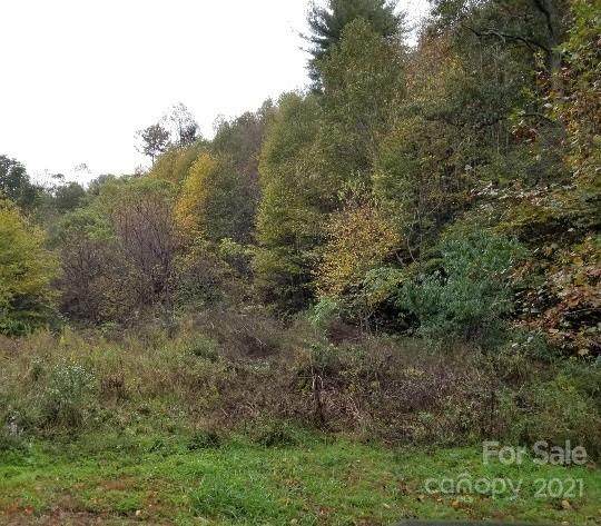 49 Loop Road - Photo 1