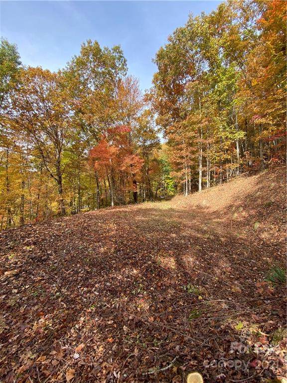0 Eagles Roost Road - Photo 1