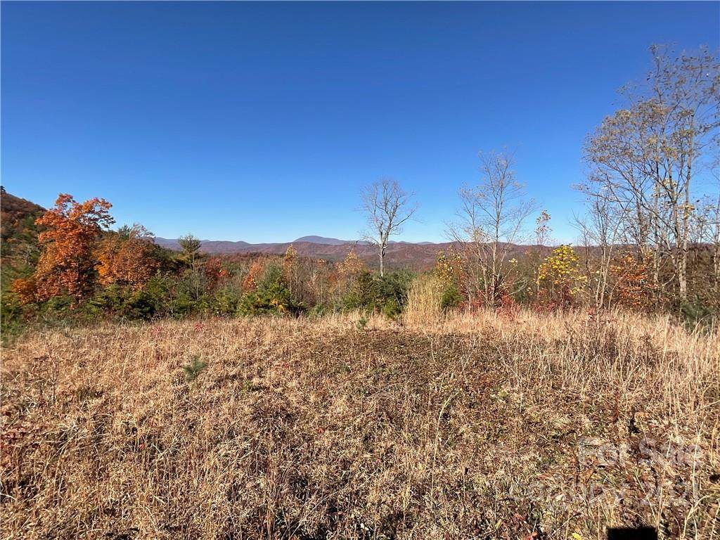 lot 60 Peppervine Circle - Photo 1