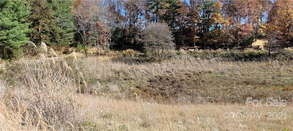 Lot 19 Oak Lane - Photo 1