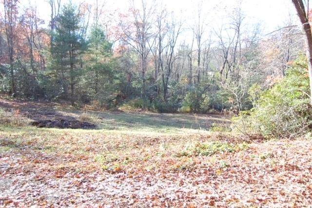 1808 Solomon Jones Road - Photo 1