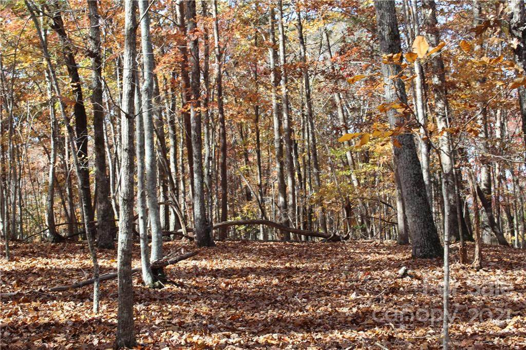 0 Wilderness Ridge - Photo 1