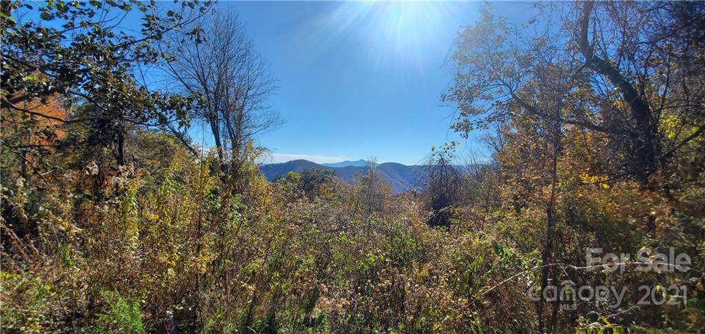 325 Bearwallow Trail - Photo 1