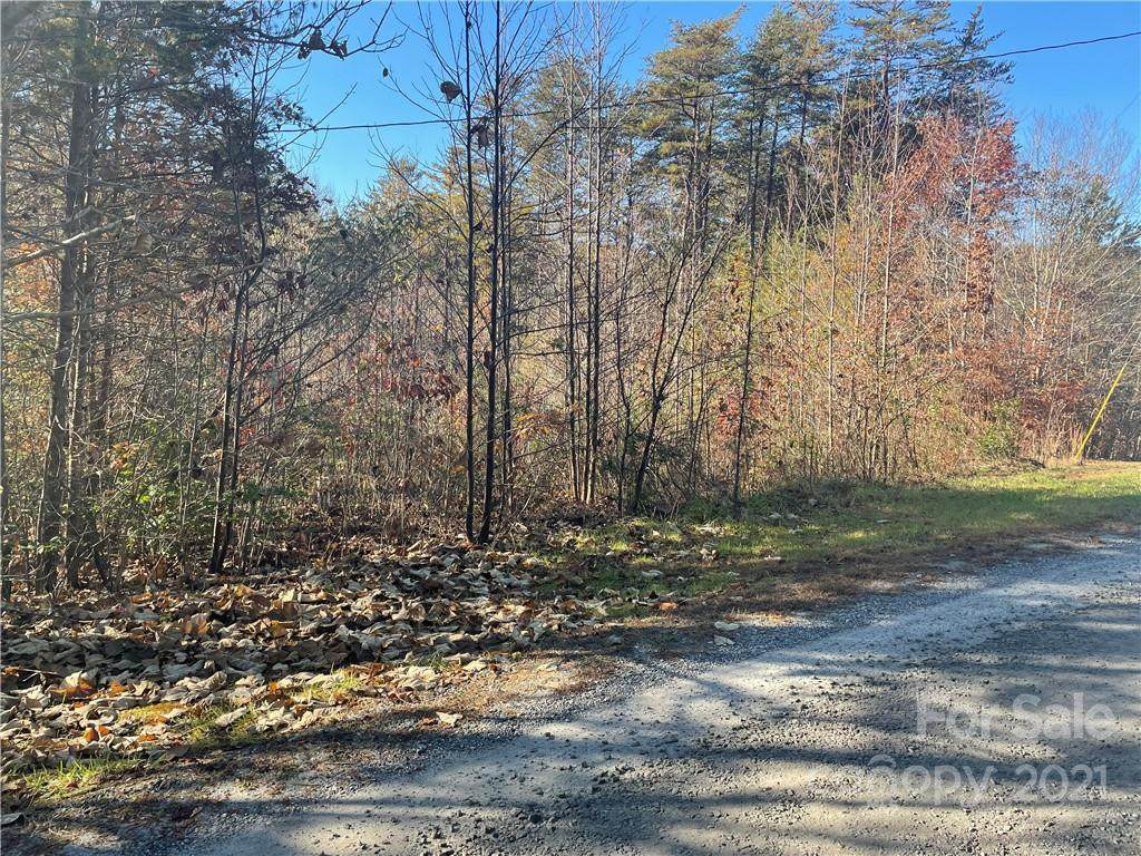 Lot 23 Lukes Loop - Photo 1