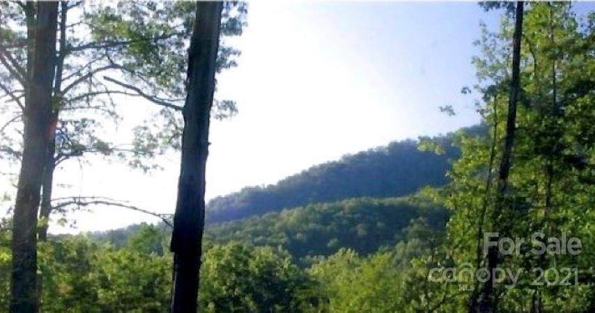 0000 Preservation Trail - Photo 1