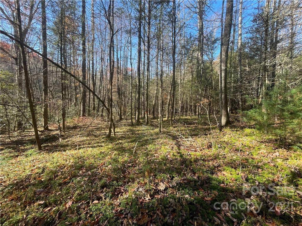 TBD Green Hollow Lane - Photo 1