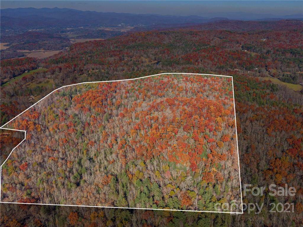 0000 Cantrell Mountain Road - Photo 1