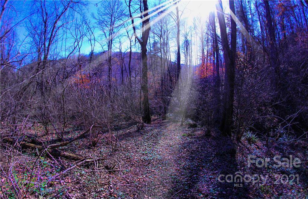 10 Acres Davis Cove Road - Photo 1
