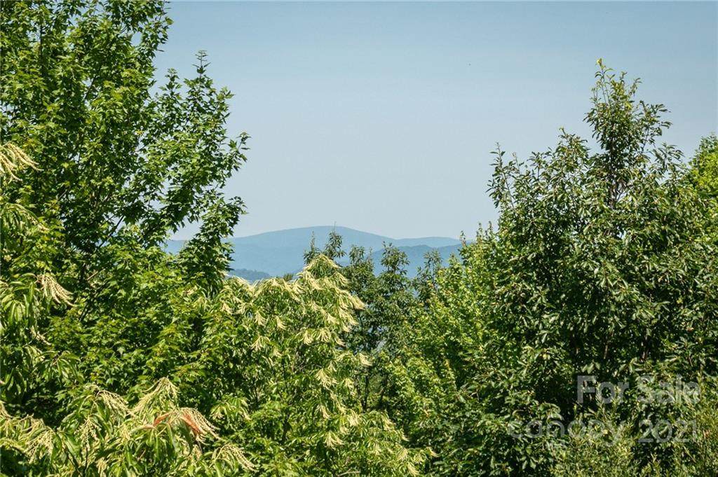 130 Stoney Falls Loop - Photo 1