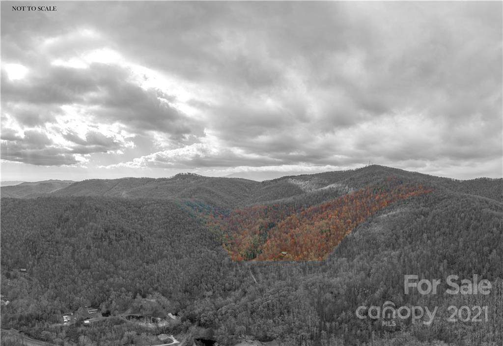 TBD Pond Road - Photo 1