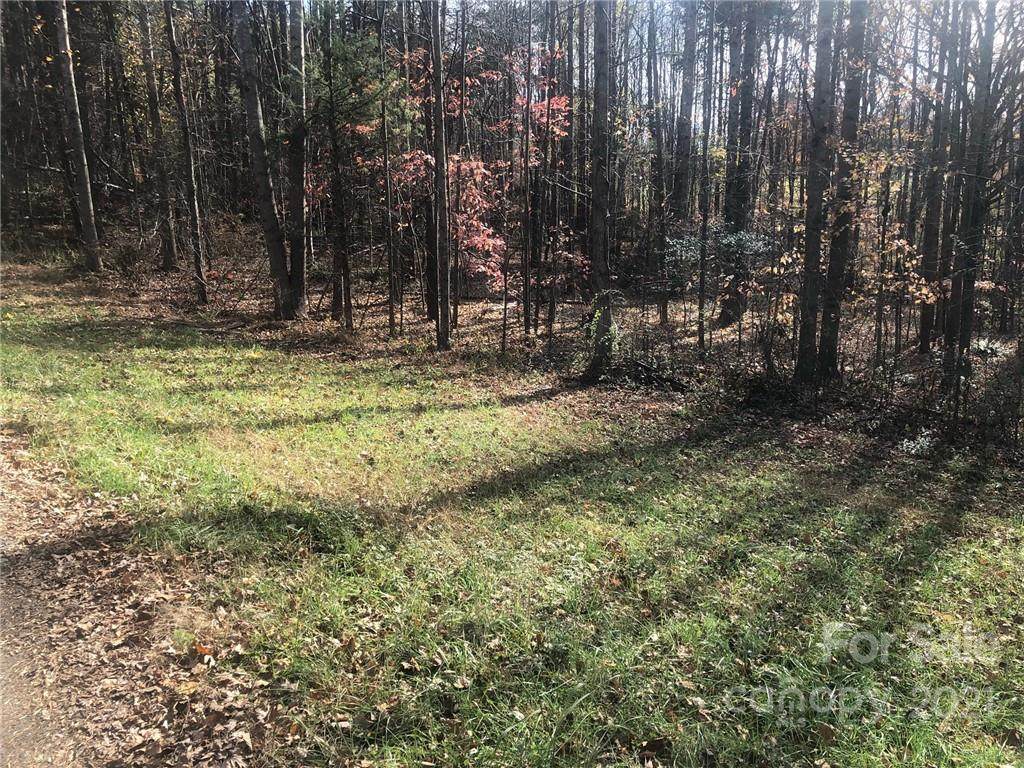 5413 Dusty Road - Photo 1