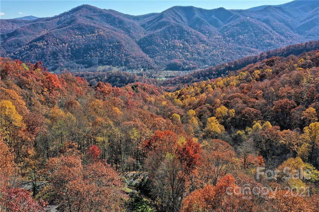 Lot 00 Laurel Ridge Road - Photo 1