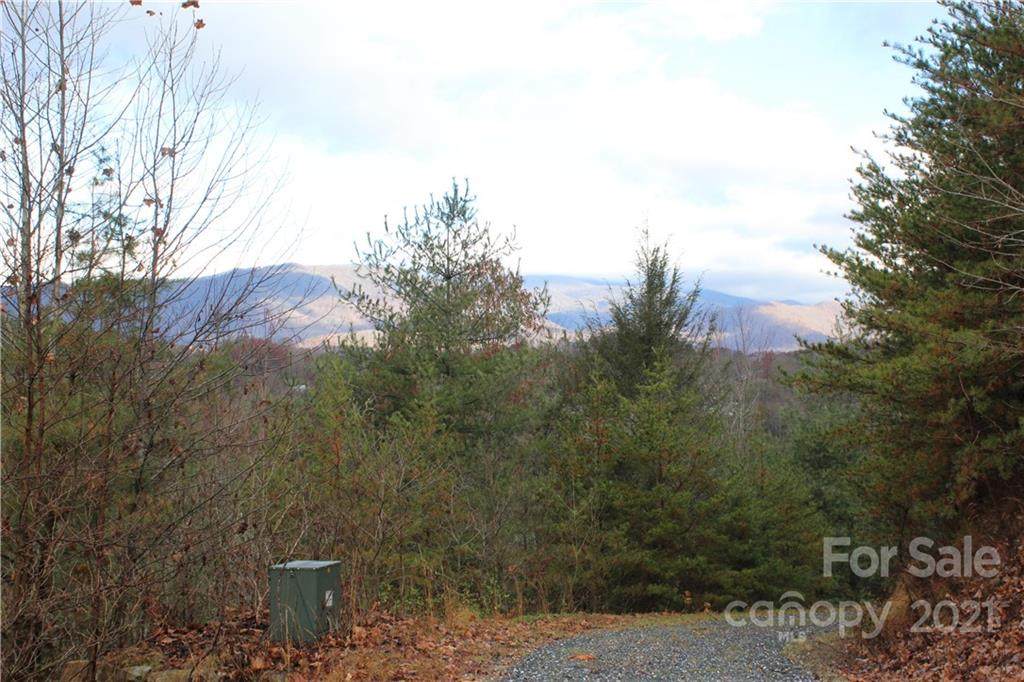Lot 9 & 27 Lost Indian Trail - Photo 1