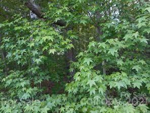 1035 Timber Spring Lane - Photo 1