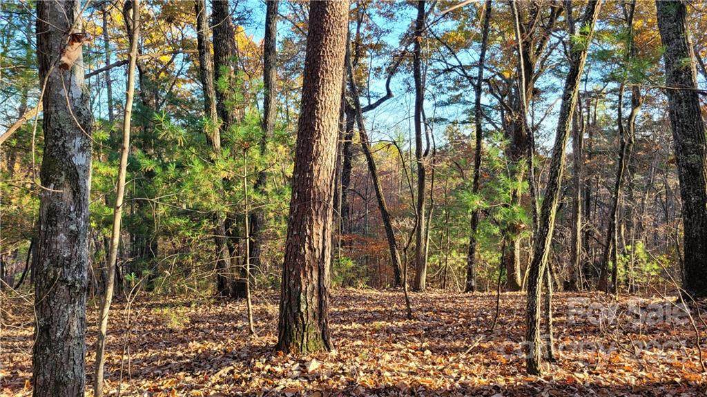 Lot 90 Crestline Drive - Photo 1