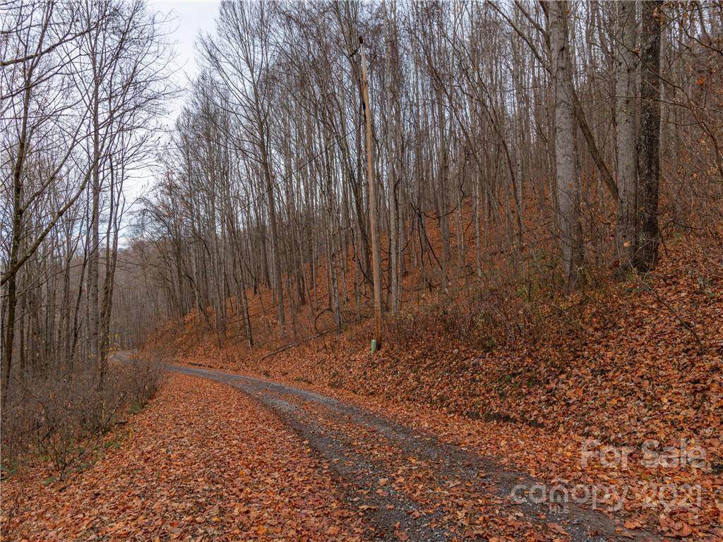 00 Tanglewood Trail - Photo 1