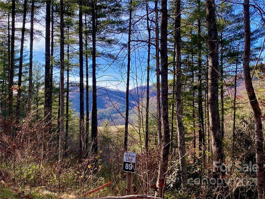 V/L 89 Little Fox Run - Photo 1